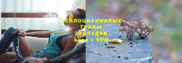 не бодяженный Алексин