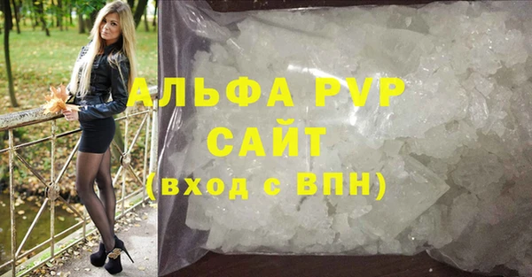 PSILOCYBIN Аркадак