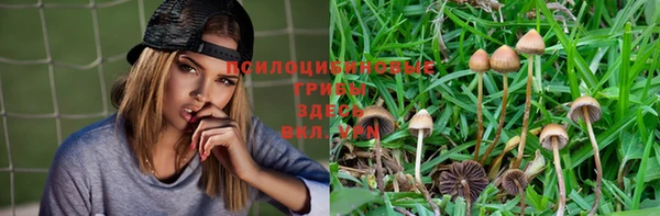 амф Армянск